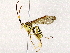  ( - BIOUG76550-G03)  @11 [ ] CreativeCommons - Attribution (2022) CBG Photography Group Centre for Biodiversity Genomics