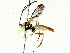  ( - BIOUG76550-G12)  @11 [ ] CreativeCommons - Attribution (2022) CBG Photography Group Centre for Biodiversity Genomics