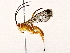  ( - BIOUG76550-H11)  @11 [ ] CreativeCommons - Attribution (2022) CBG Photography Group Centre for Biodiversity Genomics