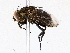  ( - BIOUG76551-C01)  @11 [ ] CreativeCommons - Attribution (2022) CBG Photography Group Centre for Biodiversity Genomics