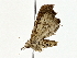  ( - BIOUG80709-E02)  @11 [ ] CreativeCommons - Attribution (2022) CBG Photography Group Centre for Biodiversity Genomics