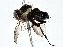  ( - BIOUG80749-C11)  @11 [ ] CreativeCommons - Attribution (2022) CBG Photography Group Centre for Biodiversity Genomics