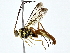  ( - BIOUG80749-E11)  @11 [ ] CreativeCommons - Attribution (2022) CBG Photography Group Centre for Biodiversity Genomics