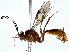  ( - BIOUG80749-F09)  @11 [ ] CreativeCommons - Attribution (2022) CBG Photography Group Centre for Biodiversity Genomics