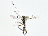 ( - BIOUG80749-H02)  @11 [ ] CreativeCommons - Attribution (2022) CBG Photography Group Centre for Biodiversity Genomics