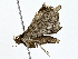  ( - BIOUG80750-A03)  @11 [ ] CreativeCommons - Attribution (2022) CBG Photography Group Centre for Biodiversity Genomics