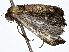  ( - BIOUG80750-E12)  @11 [ ] CreativeCommons - Attribution (2022) CBG Photography Group Centre for Biodiversity Genomics