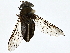  ( - BIOUG80750-F03)  @11 [ ] CreativeCommons - Attribution (2022) CBG Photography Group Centre for Biodiversity Genomics