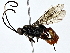  ( - BIOUG80750-F11)  @11 [ ] CreativeCommons - Attribution (2022) CBG Photography Group Centre for Biodiversity Genomics