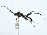  ( - BIOUG73631-F05)  @11 [ ] CreativeCommons - Attribution (2022) CBG Photography Group Centre for Biodiversity Genomics