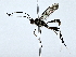  ( - BIOUG73631-H11)  @11 [ ] CreativeCommons - Attribution (2022) CBG Photography Group Centre for Biodiversity Genomics