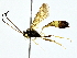  ( - BIOUG80710-A04)  @11 [ ] CreativeCommons - Attribution (2022) CBG Photography Group Centre for Biodiversity Genomics