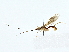  ( - BIOUG80710-A10)  @11 [ ] CreativeCommons - Attribution (2022) CBG Photography Group Centre for Biodiversity Genomics