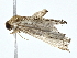  ( - BIOUG80710-F07)  @11 [ ] CreativeCommons - Attribution (2022) CBG Photography Group Centre for Biodiversity Genomics