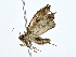  ( - BIOUG80710-G05)  @11 [ ] CreativeCommons - Attribution (2022) CBG Photography Group Centre for Biodiversity Genomics
