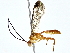  ( - BIOUG80711-B07)  @11 [ ] CreativeCommons - Attribution (2022) CBG Photography Group Centre for Biodiversity Genomics