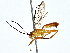  ( - BIOUG80711-B08)  @11 [ ] CreativeCommons - Attribution (2022) CBG Photography Group Centre for Biodiversity Genomics