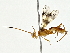  ( - BIOUG80711-C02)  @11 [ ] CreativeCommons - Attribution (2022) CBG Photography Group Centre for Biodiversity Genomics