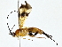  ( - BIOUG80711-H07)  @11 [ ] CreativeCommons - Attribution (2022) CBG Photography Group Centre for Biodiversity Genomics