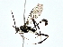  ( - BIOUG80712-A09)  @11 [ ] CreativeCommons - Attribution (2022) CBG Photography Group Centre for Biodiversity Genomics