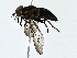  ( - BIOUG80712-C12)  @11 [ ] CreativeCommons - Attribution (2022) CBG Photography Group Centre for Biodiversity Genomics