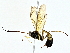  ( - BIOUG80714-D03)  @13 [ ] CreativeCommons - Attribution (2022) CBG Photography Group Centre for Biodiversity Genomics
