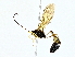  ( - BIOUG80714-D04)  @13 [ ] CreativeCommons - Attribution (2022) CBG Photography Group Centre for Biodiversity Genomics