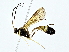  ( - BIOUG80714-D07)  @13 [ ] CreativeCommons - Attribution (2022) CBG Photography Group Centre for Biodiversity Genomics