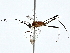  ( - BIOUG80752-C11)  @11 [ ] CreativeCommons - Attribution (2022) CBG Photography Group Centre for Biodiversity Genomics