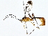  ( - BIOUG80752-E05)  @11 [ ] CreativeCommons - Attribution (2022) CBG Photography Group Centre for Biodiversity Genomics