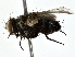  ( - BIOUG80753-B03)  @11 [ ] CreativeCommons - Attribution (2022) CBG Photography Group Centre for Biodiversity Genomics