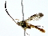  ( - BIOUG80753-C08)  @11 [ ] CreativeCommons - Attribution (2022) CBG Photography Group Centre for Biodiversity Genomics