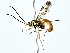 ( - BIOUG80753-G09)  @11 [ ] CreativeCommons - Attribution (2022) CBG Photography Group Centre for Biodiversity Genomics