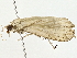  ( - BIOUG80754-A01)  @11 [ ] CreativeCommons - Attribution (2022) CBG Photography Group Centre for Biodiversity Genomics