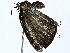 ( - BIOUG80754-A09)  @11 [ ] CreativeCommons - Attribution (2022) CBG Photography Group Centre for Biodiversity Genomics