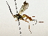  ( - BIOUG80754-G01)  @11 [ ] CreativeCommons - Attribution (2022) CBG Photography Group Centre for Biodiversity Genomics