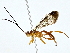  ( - BIOUG80754-G06)  @11 [ ] CreativeCommons - Attribution (2022) CBG Photography Group Centre for Biodiversity Genomics