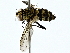  ( - BIOUG80755-B06)  @11 [ ] CreativeCommons - Attribution (2022) CBG Photography Group Centre for Biodiversity Genomics