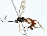  ( - BIOUG80755-E09)  @13 [ ] CreativeCommons - Attribution (2022) CBG Photography Group Centre for Biodiversity Genomics