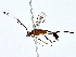  ( - BIOUG80755-F09)  @11 [ ] CreativeCommons - Attribution (2022) CBG Photography Group Centre for Biodiversity Genomics