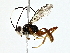  ( - BIOUG80756-F02)  @11 [ ] CreativeCommons - Attribution (2022) CBG Photography Group Centre for Biodiversity Genomics