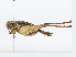  ( - CBG-A08766-C05)  @11 [ ] CreativeCommons - Attribution Share - Alike (2023) CBG Photography Group Centre for Biodiversity Genomics