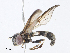  ( - CBG-A08766-E10)  @11 [ ] CreativeCommons - Attribution Share - Alike (2023) CBG Photography Group Centre for Biodiversity Genomics