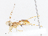  ( - CBG-A08766-F01)  @11 [ ] CreativeCommons - Attribution Share - Alike (2023) CBG Photography Group Centre for Biodiversity Genomics