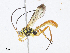  ( - CBG-A08766-F07)  @11 [ ] CreativeCommons - Attribution Share - Alike (2023) CBG Photography Group Centre for Biodiversity Genomics