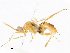  ( - CBG-A08767-B09)  @11 [ ] CreativeCommons - Attribution Share-Alike (2023) CBG Photography Group Centre for Biodiversity Genomics