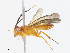  ( - CBG-A08767-C02)  @11 [ ] CreativeCommons - Attribution Share-Alike (2023) CBG Photography Group Centre for Biodiversity Genomics