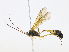  ( - CBG-A08767-F07)  @11 [ ] CreativeCommons - Attribution Share-Alike (2023) CBG Photography Group Centre for Biodiversity Genomics