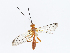  ( - CBG-A08768-C04)  @11 [ ] CreativeCommons - Attribution Share - Alike (2023) CBG Photography Group Centre for Biodiversity Genomics