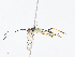  ( - CBG-A08768-C10)  @11 [ ] CreativeCommons - Attribution Share - Alike (2023) CBG Photography Group Centre for Biodiversity Genomics